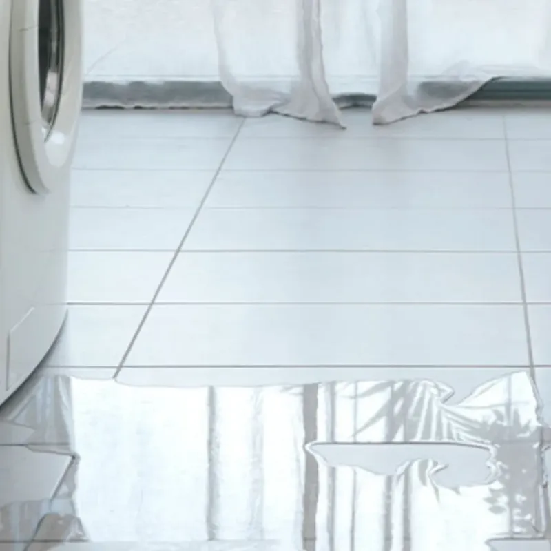 Appliance Leak Cleanup in Athens, GA
