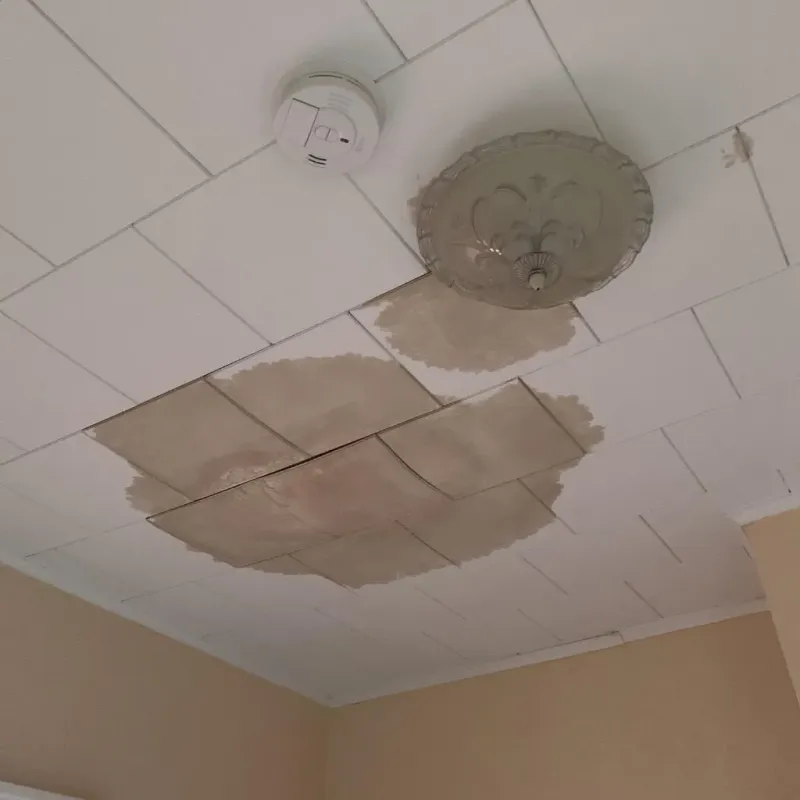Ceiling Water Damage Repair in Athens, GA